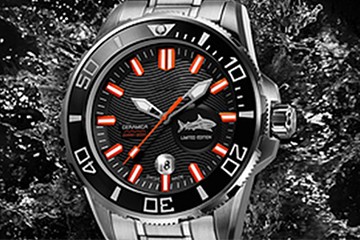 哪里有广州劳力士原装表带